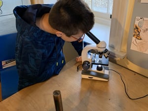 Students looking at water samples 2